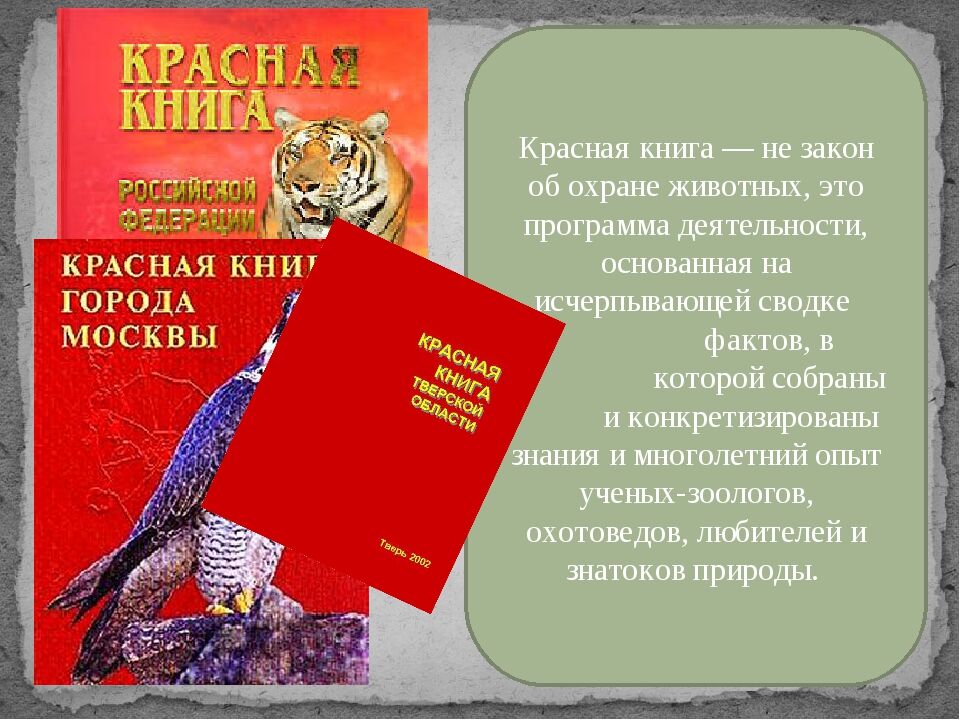 Закон о животном мире картинки