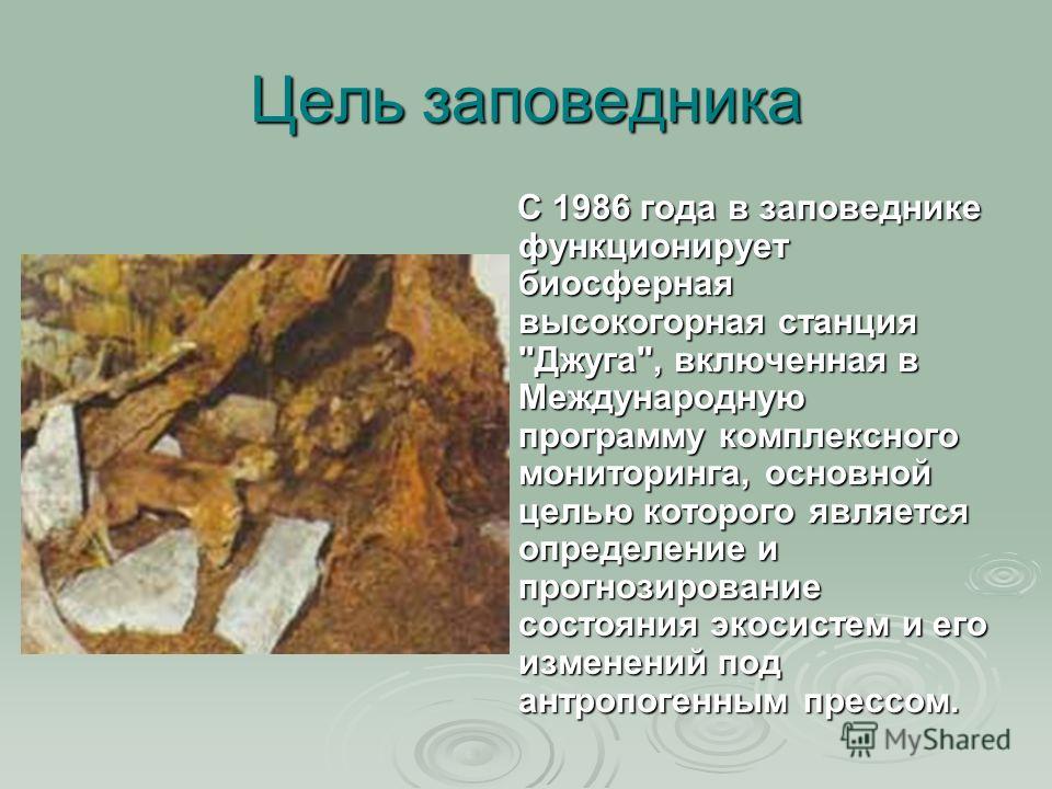 Целью заповедников является. Цель заповедников. Главная цель заповедников. Цель создания заповедников. Цель биосферных заповедников.